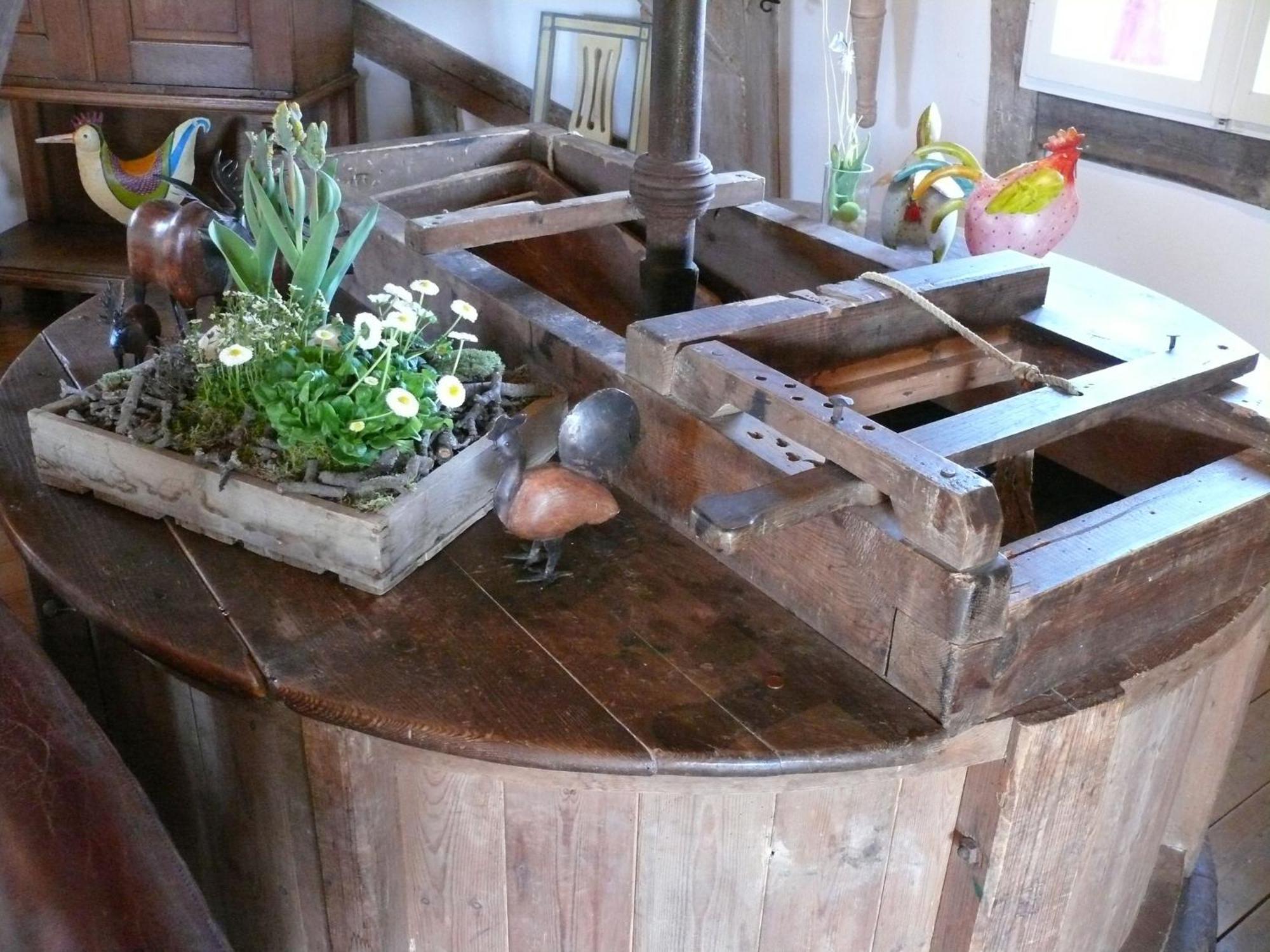 Beautiful Authentic Mill Close To The Beach Wangels Dış mekan fotoğraf